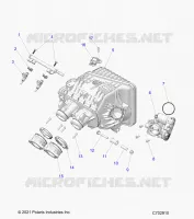 ENGINE, INTAKE INTAKE MANIFOLD, CUERPO DE MARIPOSA, FUEL RAIL- Z24NME99A2/B2 (C702910)