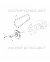 ENGINE, POLEA AND DRIVE BELT