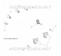 ELECTRICA, BULBS